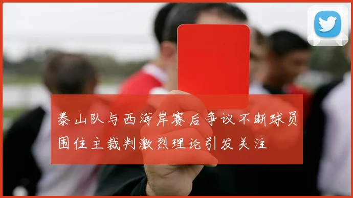 泰山队与西海岸赛后争议不断球员围住主裁判激烈理论引发关注