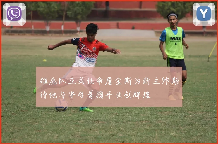 雄鹿队正式任命詹金斯为新主帅期待他与字母哥携手共创辉煌